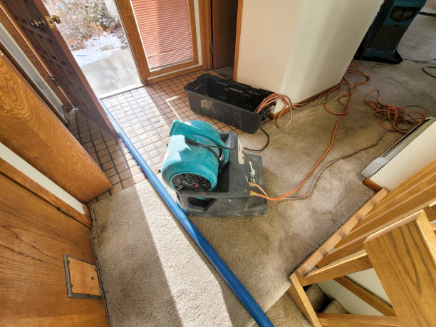 Best Professional water damage repair  in Lake Bryan, TX