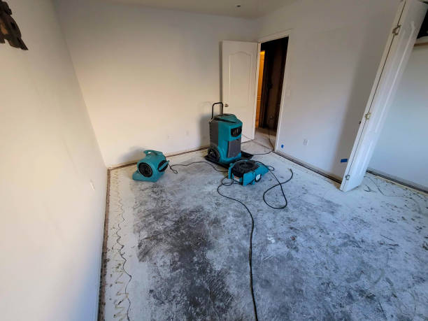 Best 24-hour water damage restoration  in Lake Bryan, TX