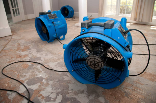 Best Commercial water damage restoration  in Lake Bryan, TX