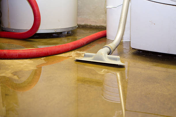 Best Water damage cleanup near me  in Lake Bryan, TX