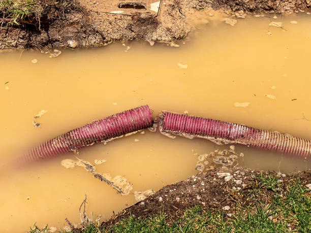 Best Residential water damage restoration  in Lake Bryan, TX
